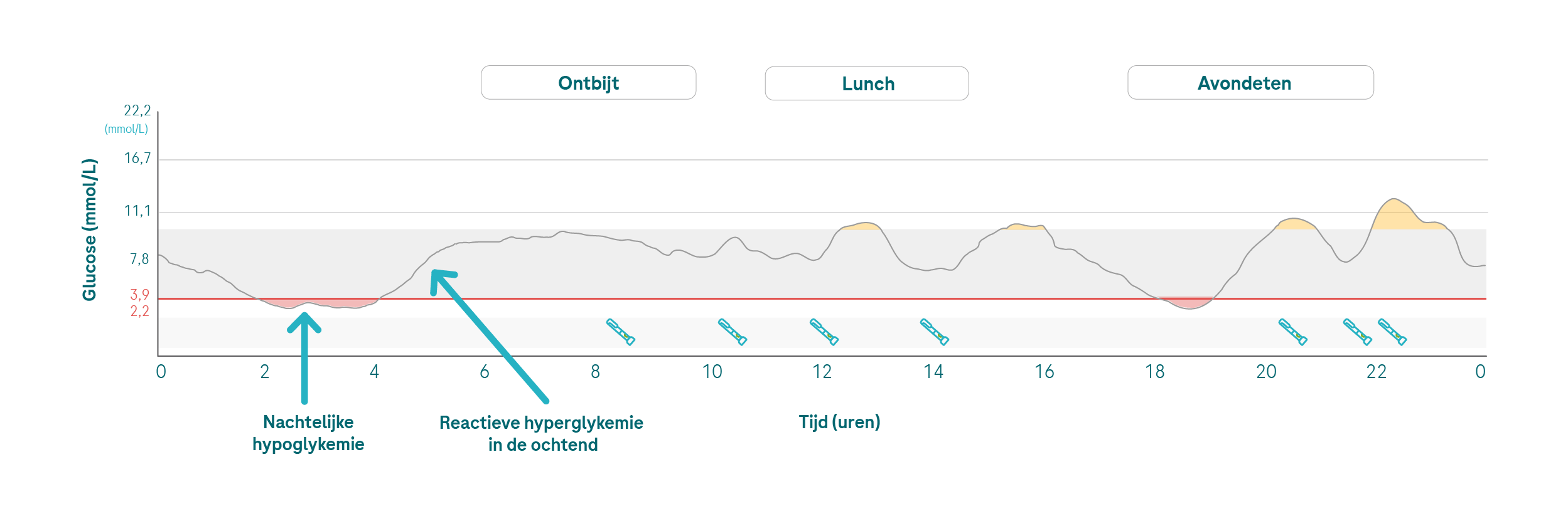 Somogyi%20effect%20mmol